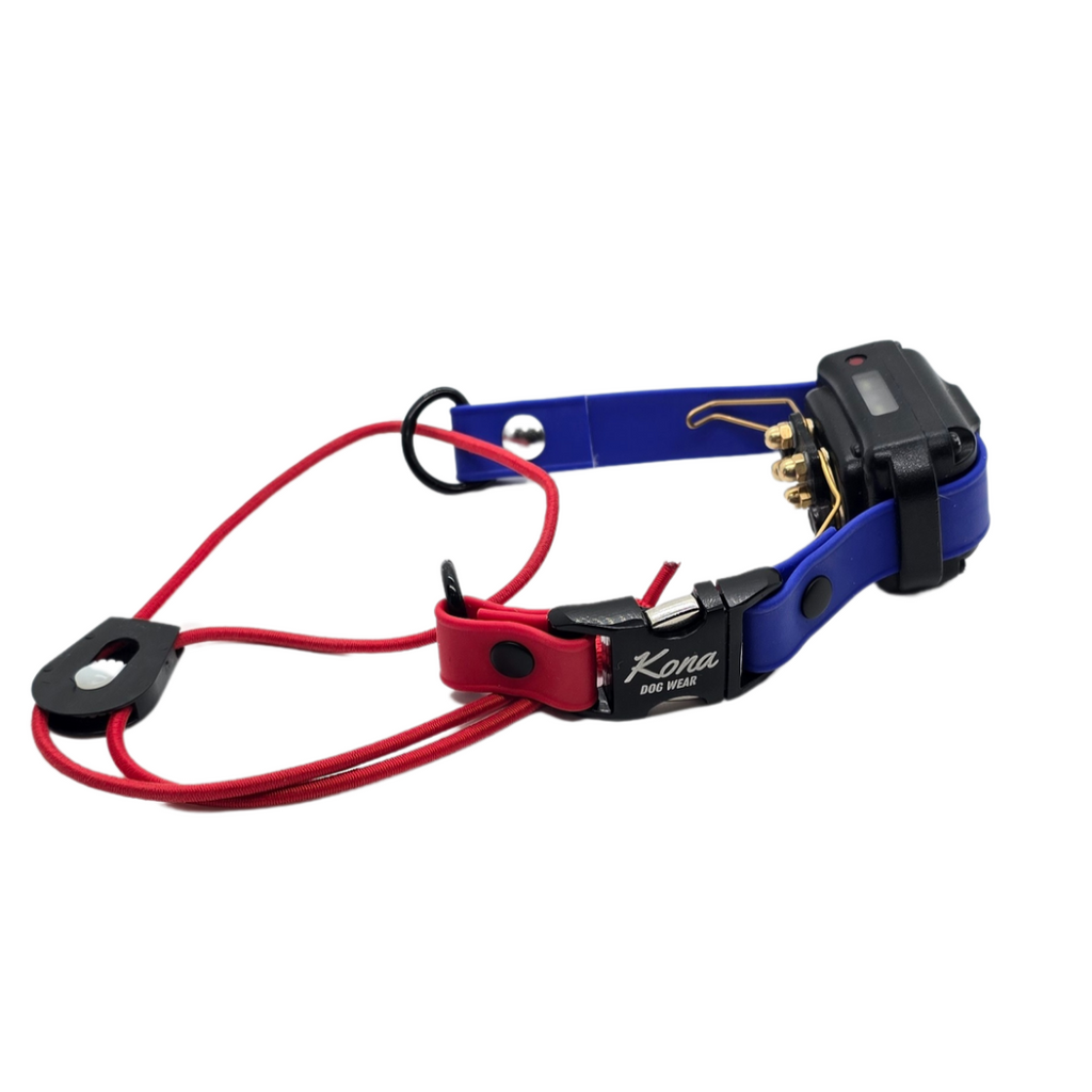 E-Collar Strap