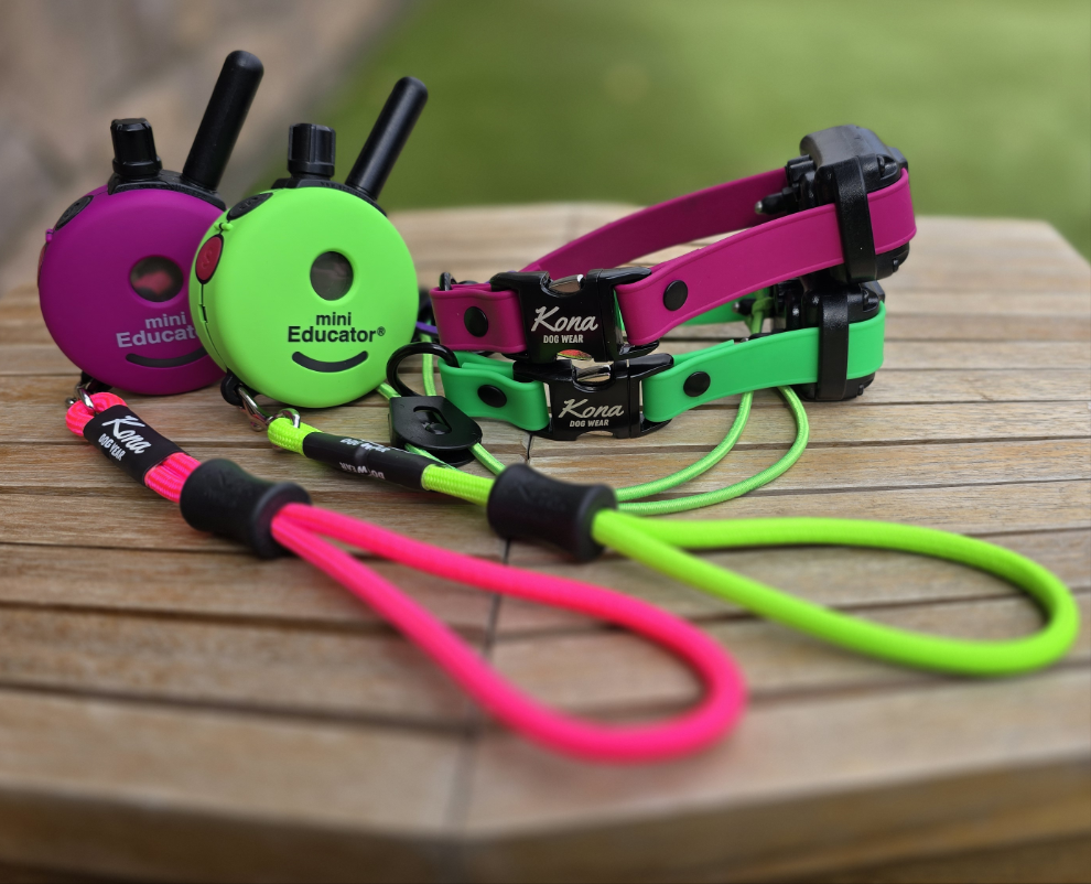 E-Collar Strap