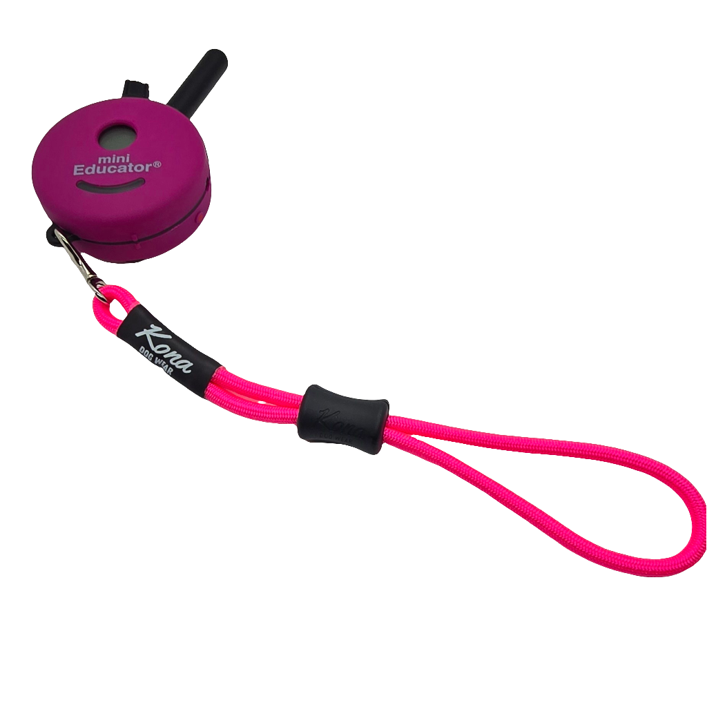 Remote Wristlet