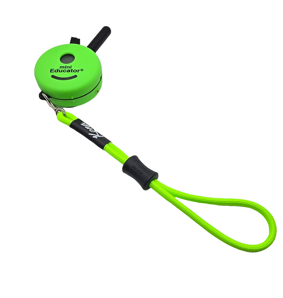 Remote Wristlet