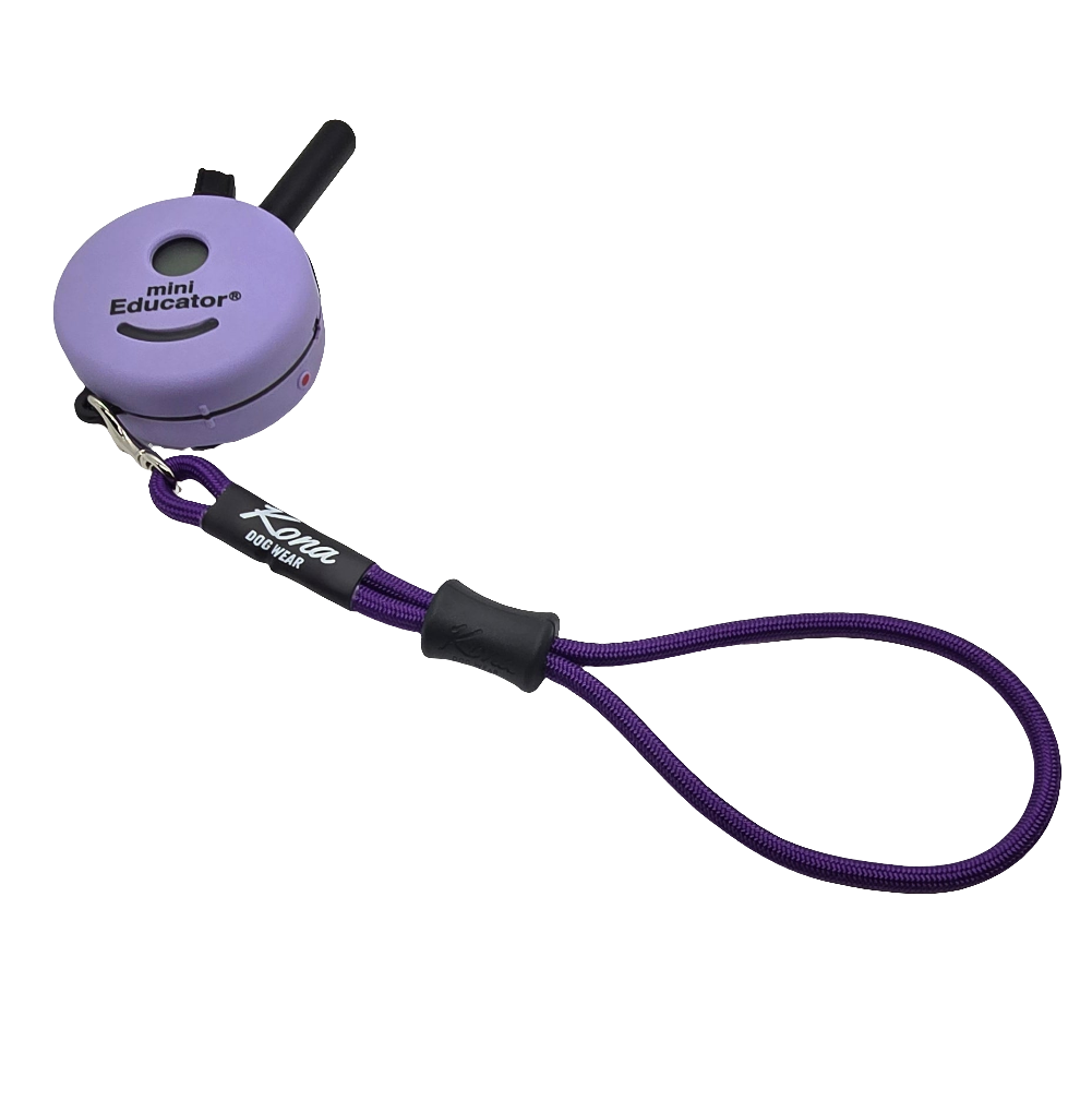 Remote Wristlet