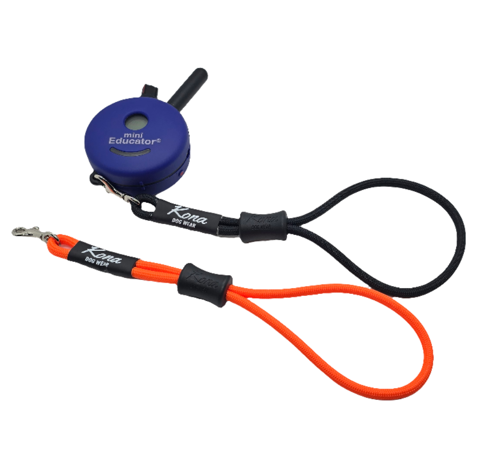 Remote Wristlet