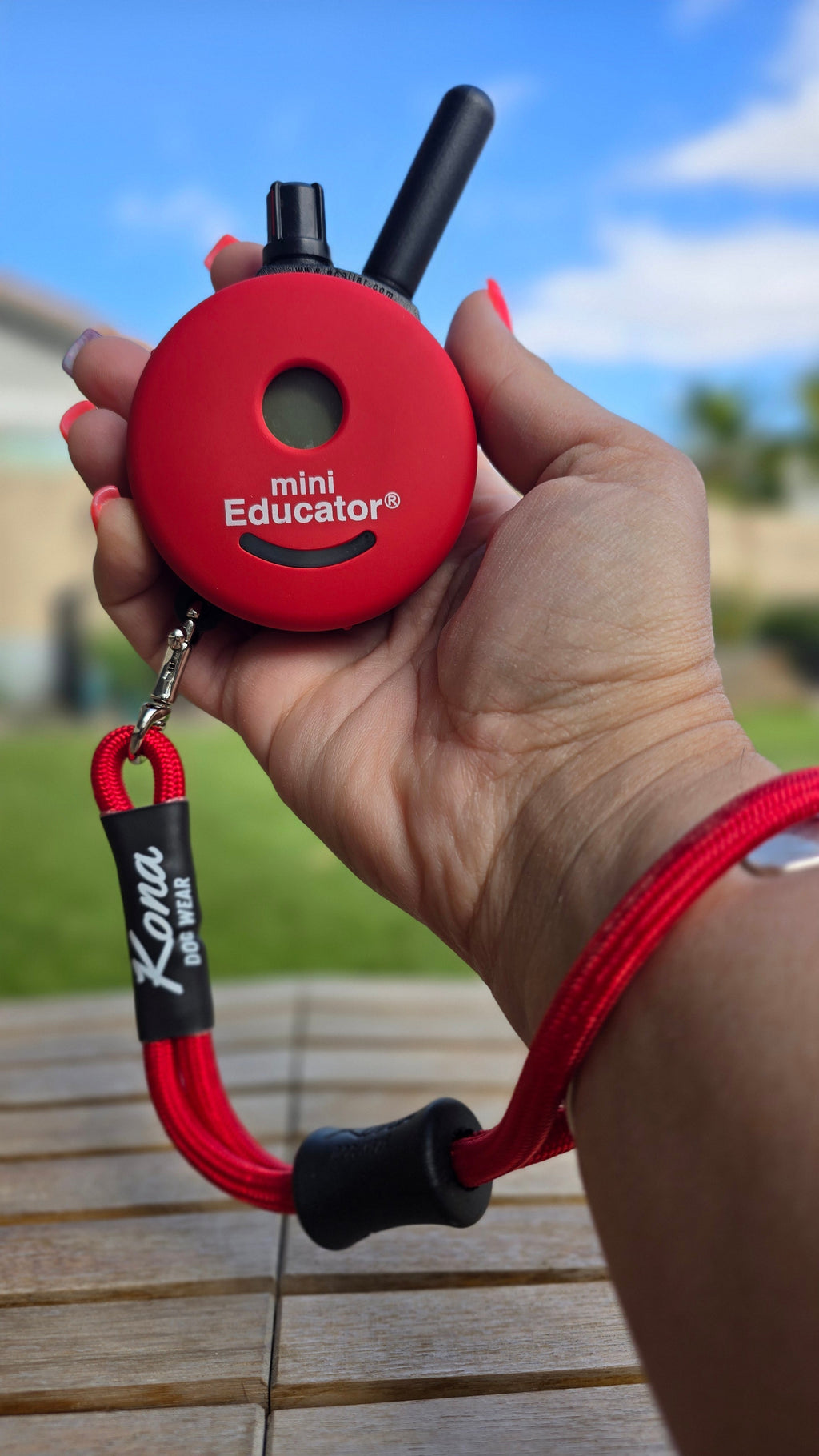 Remote Wristlet